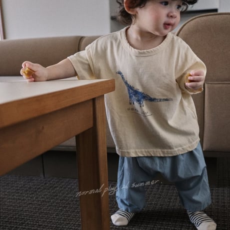 normalplay/21. Die half t T-shirt 12M-XL