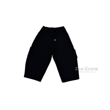 zanclover/24. curb cargo pants 3-11
