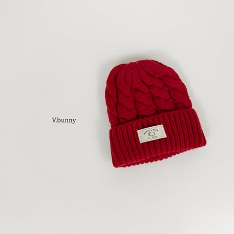 vbunny/48. big roof beanie FREE(48CM-53CM)