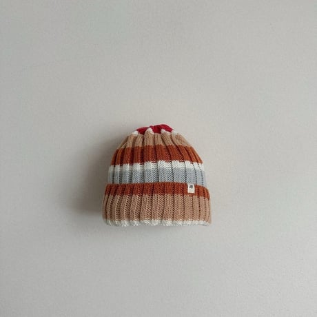 digreen/47. multi beanie? FREE