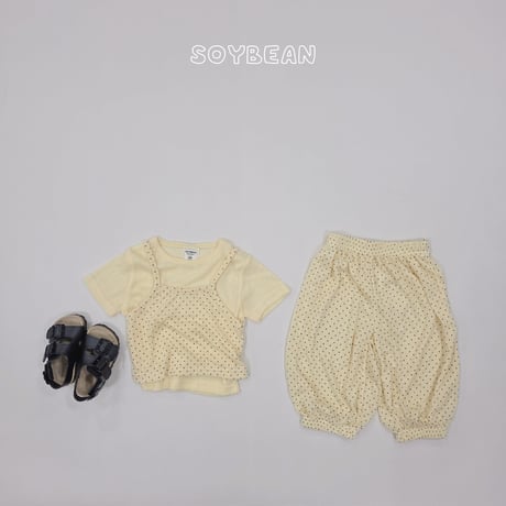 soybean/11. plan ) dot ray set XS-XL