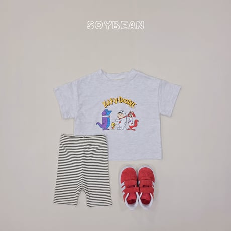 soybean/10. plan ) stripe leggings XS-XL