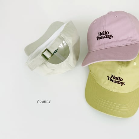 vbunny/74. day cap FREE(48-52CM)