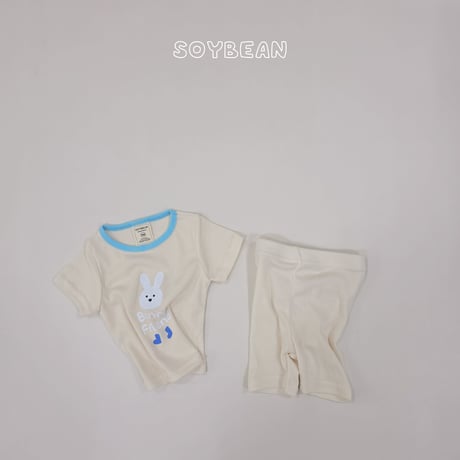 soybean/33. plan ) bunny frein inner wear XS-XL