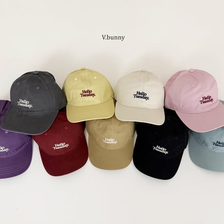 vbunny/74. day cap FREE(48-52CM)
