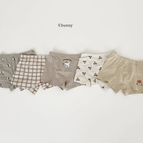 vbunny/53. hawaii underpants S-3XL