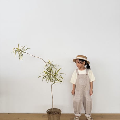 lovin/20. day pocket overalls 1-11
