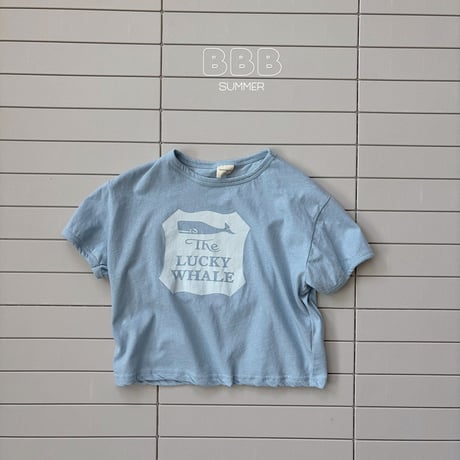 bellabambina/94. dolphin T-shirt XS-XL
