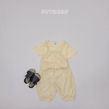soybean/11. plan ) dot ray set XS-XL