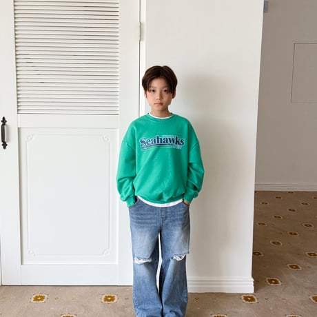 fromi/51. Seahawks Sweatshirt? S-XL