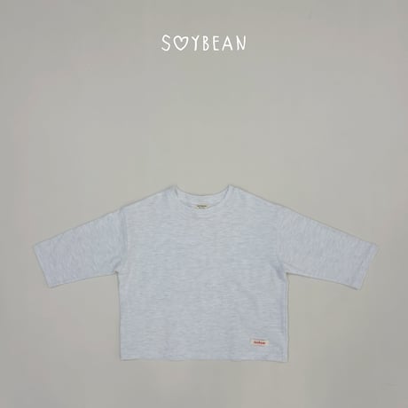soybean/31. plan ) rayerd T-shirt JS-JL