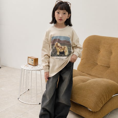 sm2/10. pony T-shirt 9-17