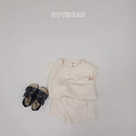 soybean/57. plan ) danzak boxy ( set JS-JM
