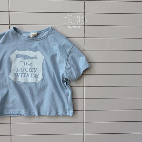 bellabambina/94. dolphin T-shirt XS-XL