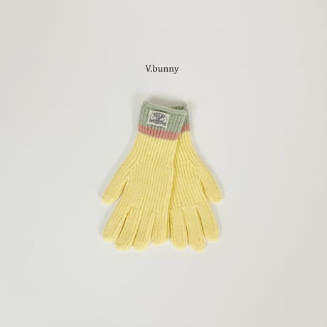 vbunny/58. Block glove FREE