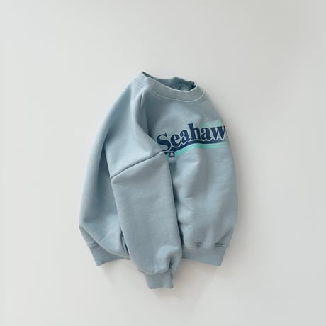 fromi/51. Seahawks Sweatshirt? S-XL
