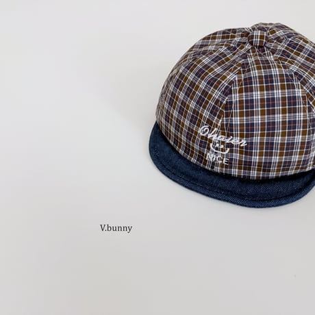 vbunny/78. pass hat FREE(45-48CM)