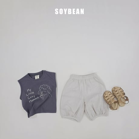 soybean/156. plan ) simple bullon set JS-JM