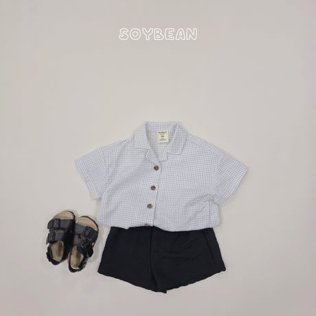 soybean/39. plan ) check hawaii shirt JS-JM