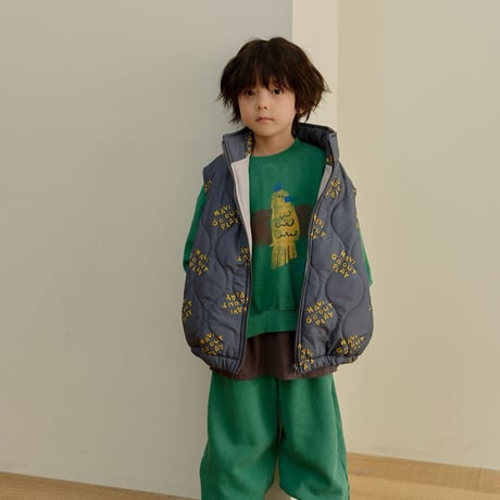 navi/41. Sonic pants S-XL
