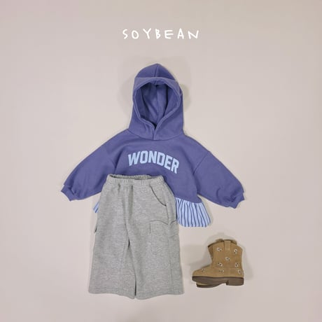 soybean/166. wonder pumpkin hood JS-JM