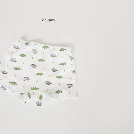 vbunny/55. little underpants S-3XL