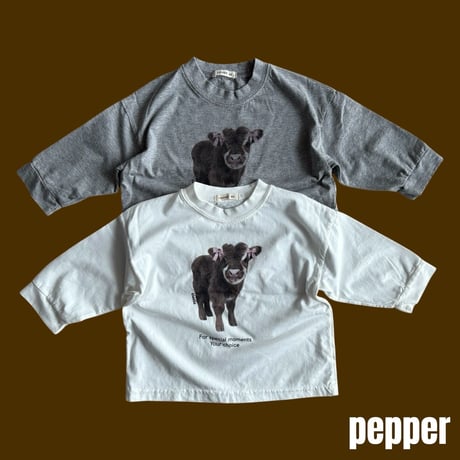 pepper/7. baby cow T-shirt XS-XL