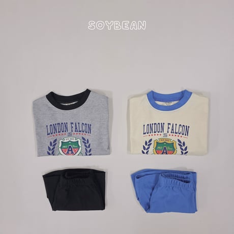 soybean/62. plan ) london two color updown set JS-JM