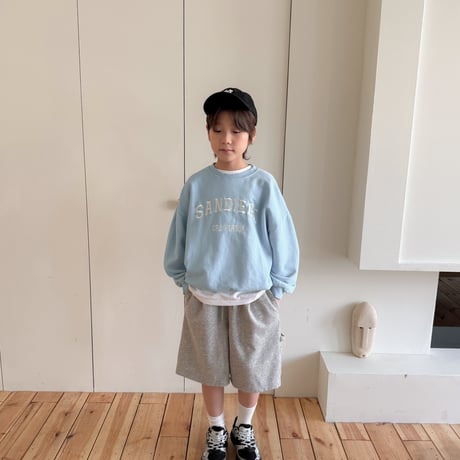 fromi/27. sandy ego embroidery man-to-man S-XL