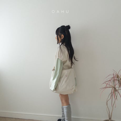 oahu/67. ray loss bag FREE(F)