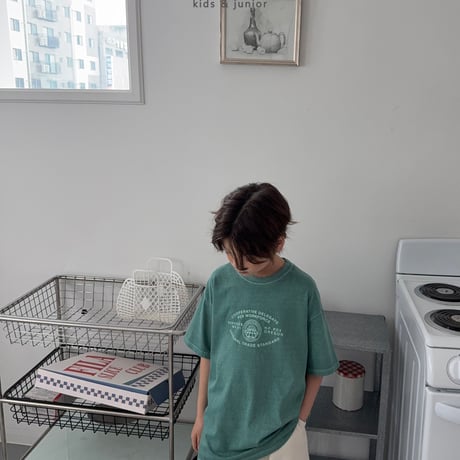 owen/77. section pigment half t T-shirt JS-JXL