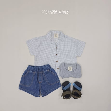 soybean/39. plan ) check hawaii shirt JS-JM