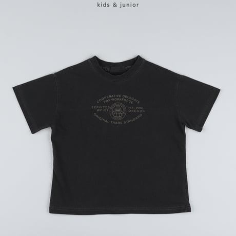owen/76. section pigment half t T-shirt S-XL