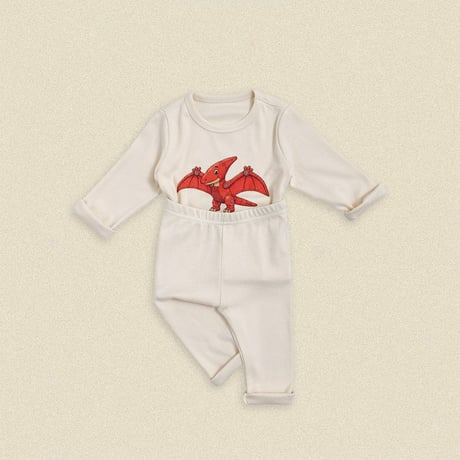 oottbebe/12. dinosaur inner wear XS(0-1Y)-XL(4-5Y)
