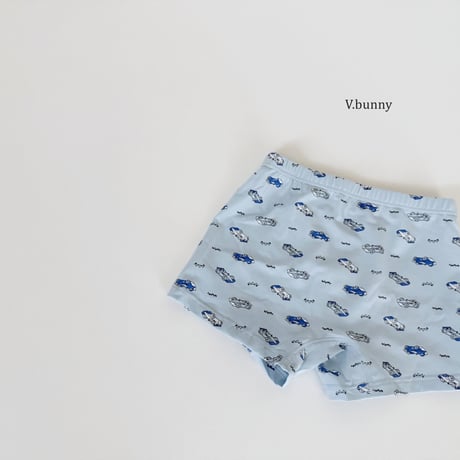 vbunny/56. racing underpants S-3XL