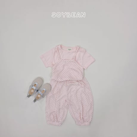 soybean/11. plan ) dot ray set XS-XL