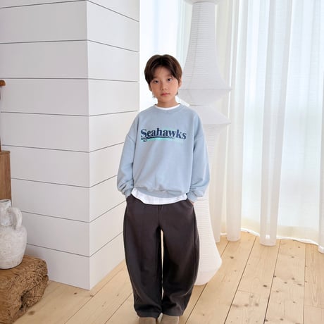 fromi/51. Seahawks Sweatshirt? S-XL