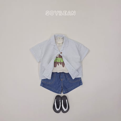 soybean/39. plan ) check hawaii shirt JS-JM