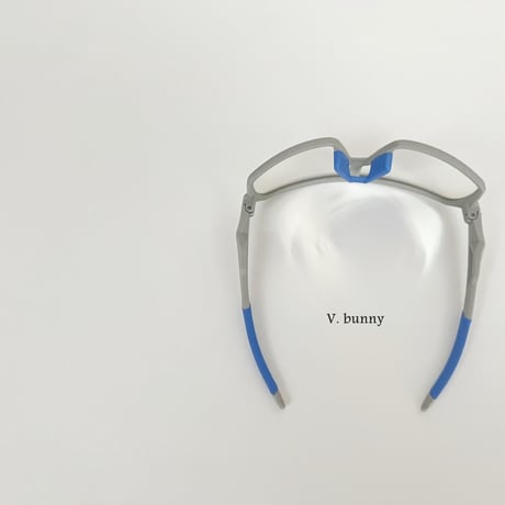 vbunny/41. sports sunglasses FREE