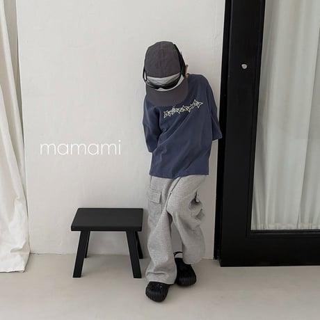 mamami/14. cargo wide P  JS-JL