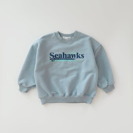 fromi/51. Seahawks Sweatshirt? S-XL