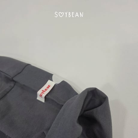 soybean/56. plan ) dot big box T-shirt JS-JM