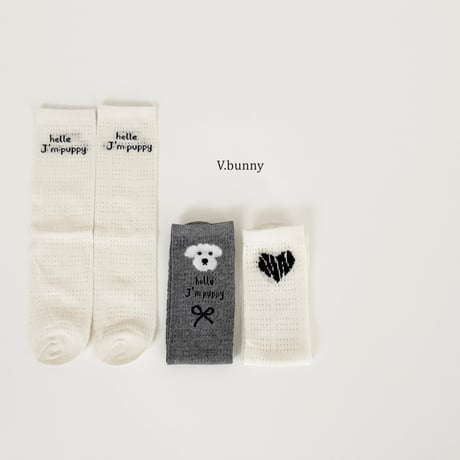 vbunny/48. jay m socks set FREE