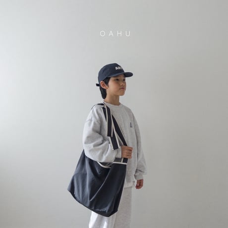 oahu/67. ray loss bag FREE(F)
