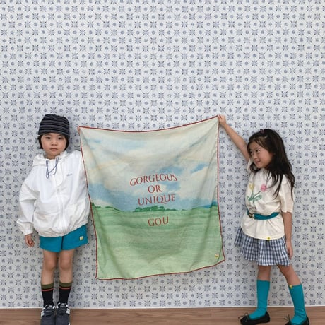 gou/3. NI socks 1(2-5Y)-2(5-7Y)