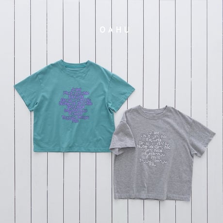 oahu/57. alpha T-shirt S-XL
