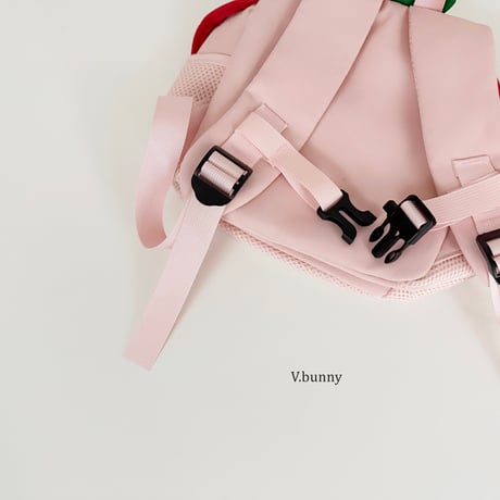 vbunny/47. fru bag FREE