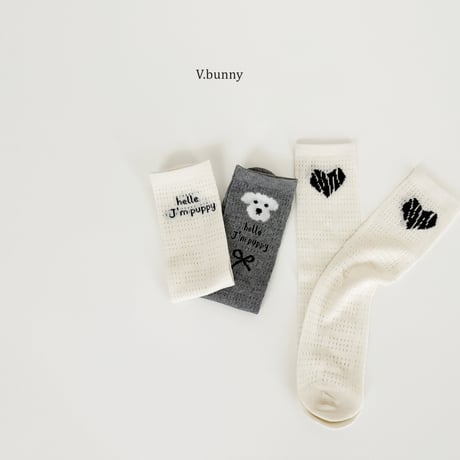 vbunny/48. jay m socks set FREE