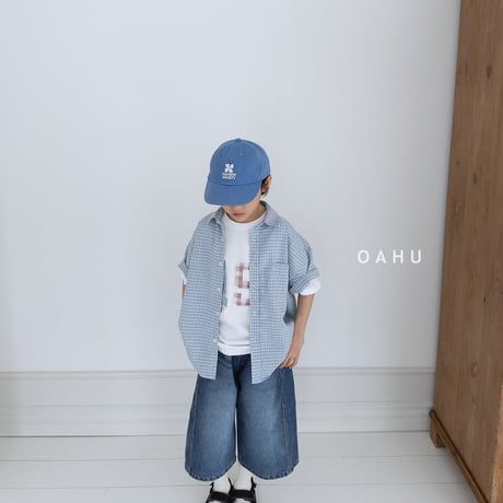 oahu/22. sheer check shirt JS-JXL