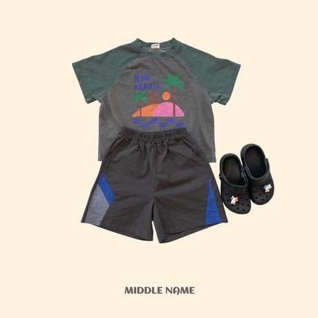 middlename/43. pig palm tree T-shirt S-XL